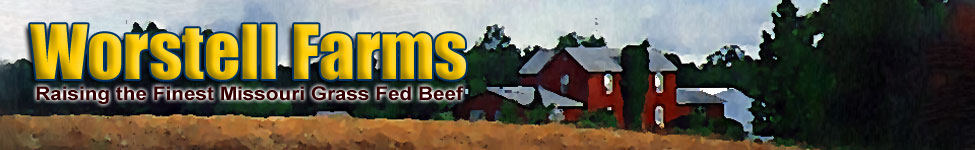 Missouri Beef Cuts Steak Ribs Hamburger Ground Roast Tenderloin Meat 